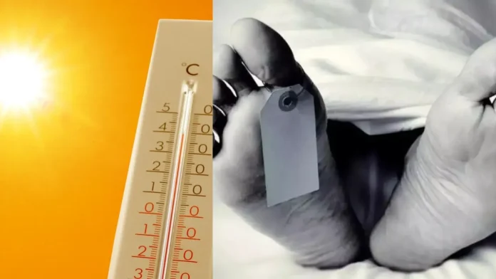 34-people-died-due-to-heatstroke 34-people-died-due-to-heatstroke