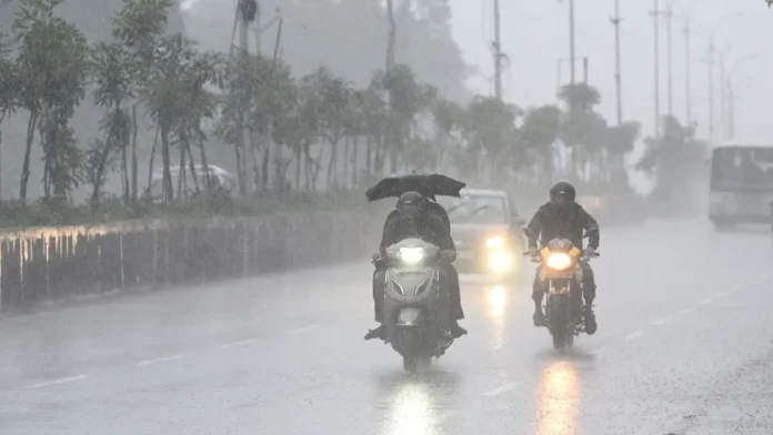 Rains Rains