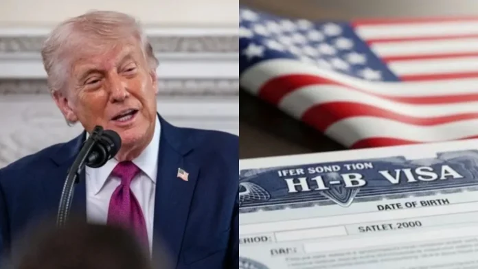 Federal judge voids Trump's H-1B visa requirements Federal judge voids Trump's H-1B visa requirements