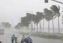 Weather Update: తెలుగు రాష్ట్రాలకు బిగ్ అలర్ట్.. ఐదు రోజుల పాటు వానలే వానలు Rains