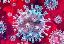 Coronavirus : ఏపీలో విజృంభిస్తోన్న కరోనా ‘ఒమిక్రాన్ ఆర్ఎఫ్.5’ వేరియంట్