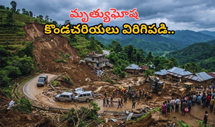 nagaland landslide disaster