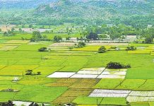 22A Prohibited Land Issues In Telangana : 22-A అంటే ఏమిటీ? పట్టా భూములకు తప్పని తిప్పలు..